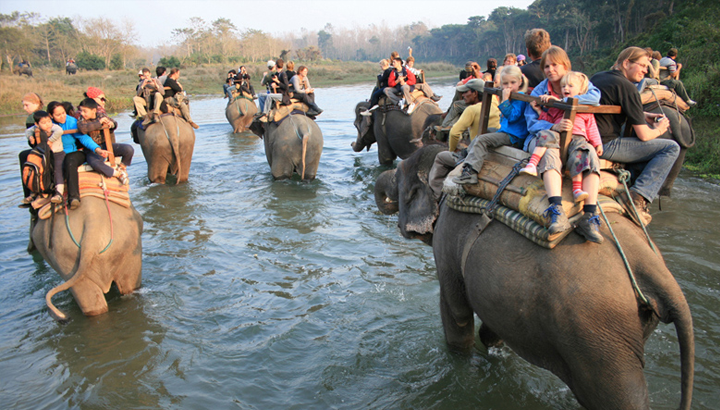 Elephant Ride - Adventure Tourism